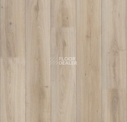 Линолеум Forbo De Luxe 2858-3018 whitewashed oak фото 1 | FLOORDEALER